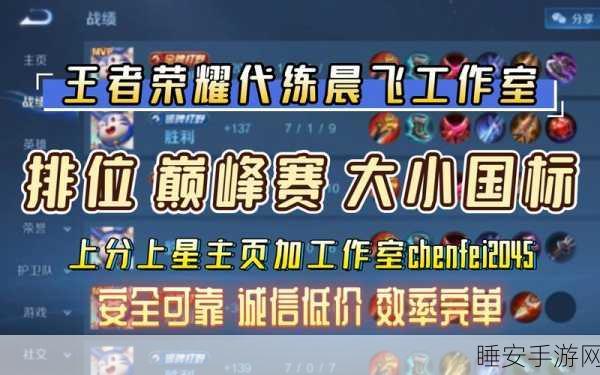王者荣耀,揭秘高效上星策略,助你轻松突破瓶颈