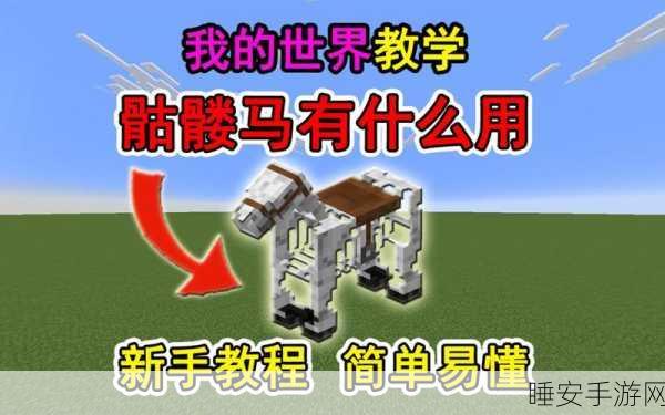 探秘我的世界,骷髅马捕捉全攻略与神秘地点揭秘