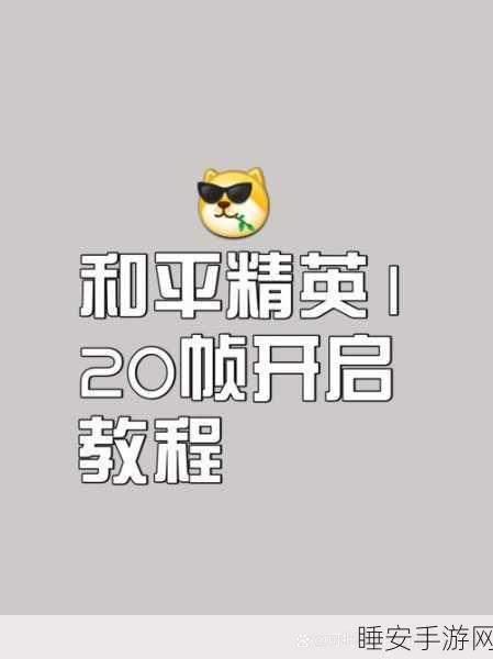 绝地求生帧数优化指南,解锁流畅吃鸡的终极秘籍