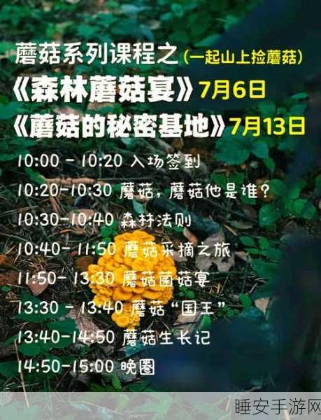 幻塔探险新攻略,解锁耐力蘑菇的终极食用秘籍,助你征服无尽挑战