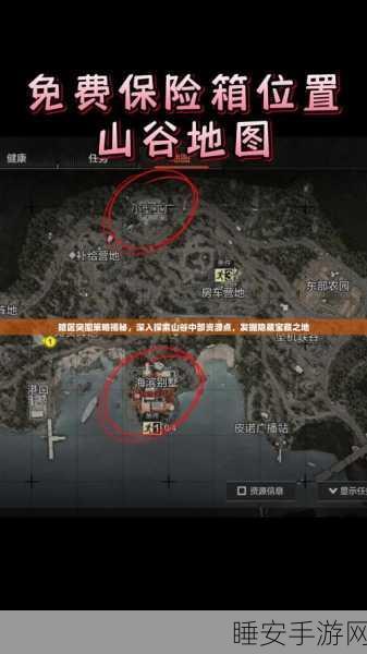 传奇世界手游宝藏揭秘,深度解析物品ID与稀有宝藏获取攻略