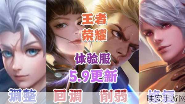 王者荣耀体验服账号申请全攻略,解锁独家赛事与英雄抢先体验!