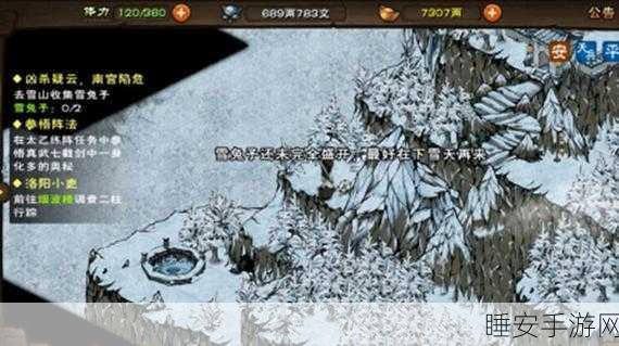 烟雨江湖,揭秘雪兔子珍稀坐标,助你征服冰雪奇缘