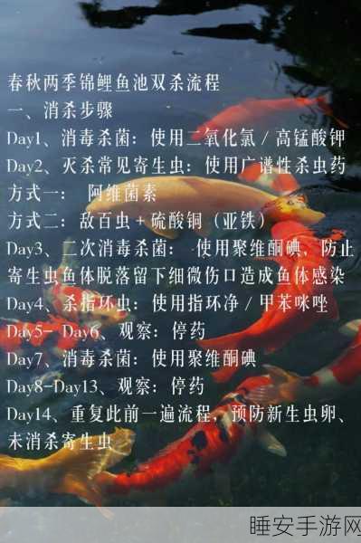 烟雨江湖,揭秘锦鲤鱼苗的神奇用途与养成攻略