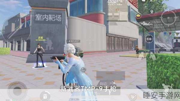 和平精英特训岛室内靶场枪械指南,高手推荐,精准制胜