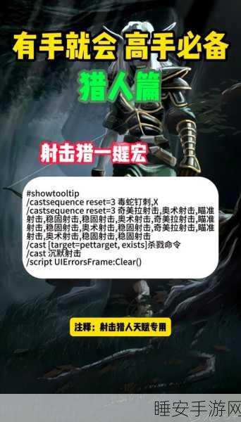 猎人征途,揭秘战力飙升的顶尖策略与赛事详解