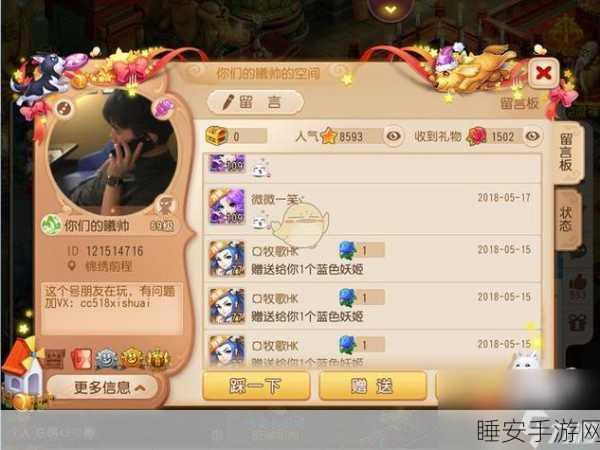 梦幻西游手游,全面解析资格获取途径与精彩赛事细节