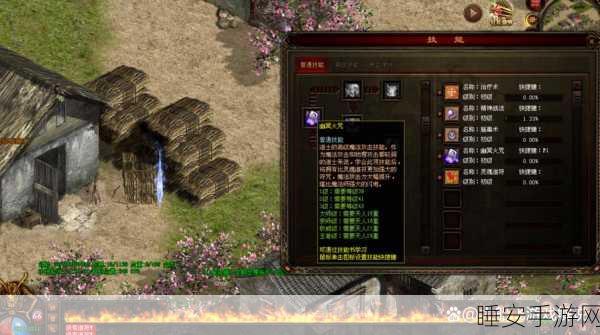 传奇世界道士攻略大全传奇世界道士高效攻略全解