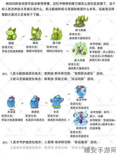 洛克王国,揭秘魔尾战猫的获取攻略与竞技魅力