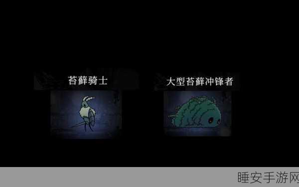 空洞骑士高手进阶,冲刺技巧深度剖析与实战应用