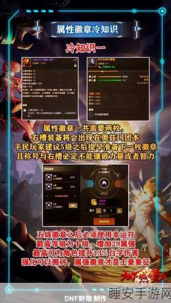 手游攻略,DNF属强选择大揭秘,全面解析多属强与单属强的优劣