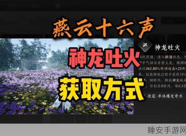 燕云十六声全面进化,归燕经心法独家揭秘,解锁武林新境界!