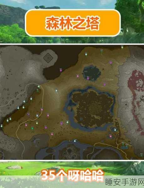 塞尔达费罗尼地区,勇气之泉女神像挑战深度解析与全攻略