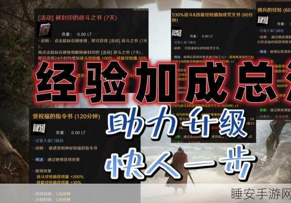 黑色沙漠手游,宠物技能搭配攻略,打造你的战斗伙伴