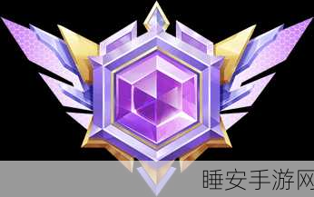 QQ飞车等级图标突变紫色,解锁全新荣耀与赛事揭秘