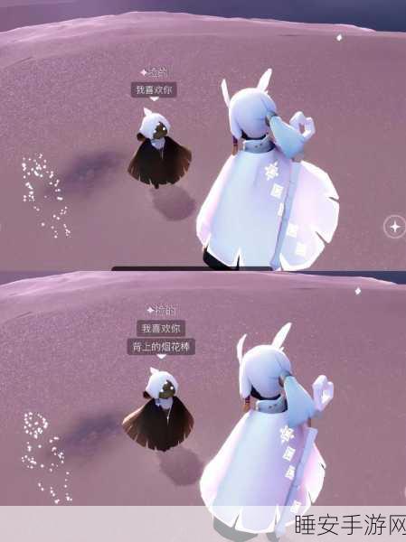 手游揭秘,光遇世界中的白鸟与白枭,差异何在?深度解析与趣味对比
