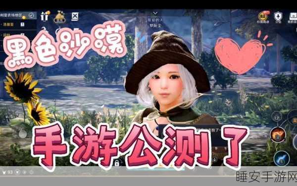 探秘黑色沙漠手游,洛基亚农场详尽攻略与隐藏任务揭秘