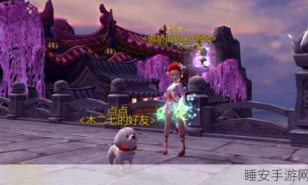 龙之谷手游,柯基坐骑的魅力与风采
