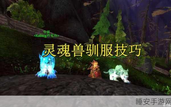 魔兽世界,探寻灵魂兽熊的秘境之旅