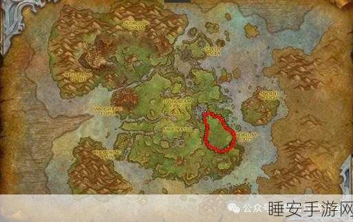 魔兽世界,探寻灵魂兽熊的秘境之旅
