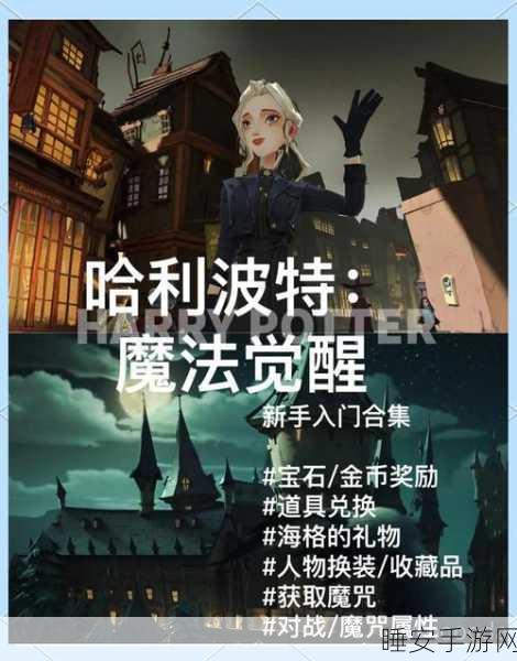 哈利波特魔法觉醒,分院选择影响深远,揭秘分院测试全攻略