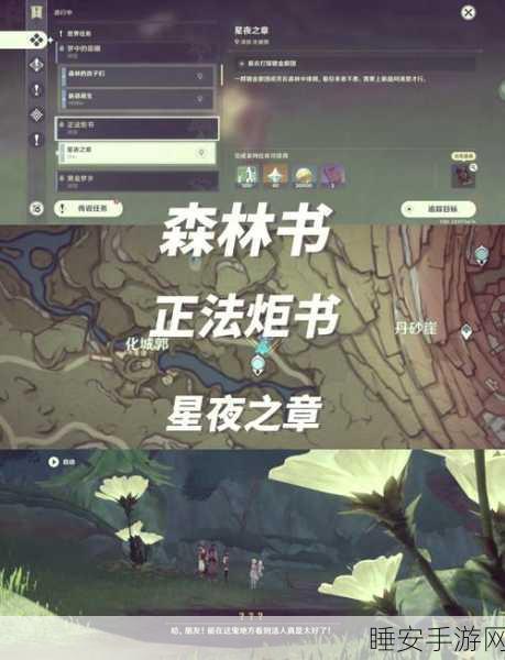 原神探索揭秘,揭秘那些无法联机的独特任务