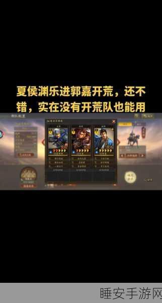 夏侯惇在三国志战棋版中的去留之谜，策略大师们的抉择