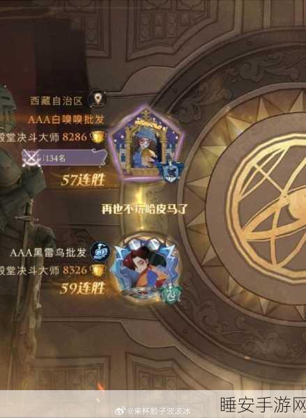 哈利波特魔法觉醒,揭秘决斗俱乐部排行榜查询与竞技精髓