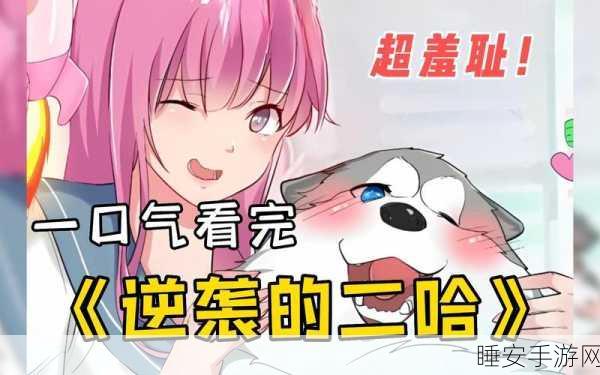 超级达人二哈逆袭全通关攻略详解