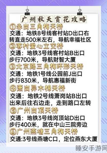 揭秘城市天际线架桥秘籍,一键提升你的城市建设效率