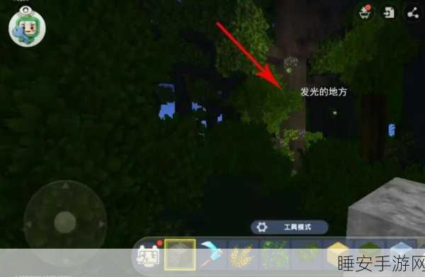 探秘迷你世界,解锁雨林之芯与雨林之眼的全攻略