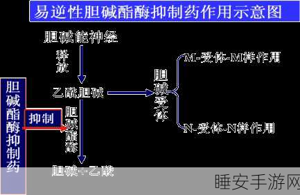 泰拉瑞亚军火商高效复活秘籍,详解复活机制与实战策略