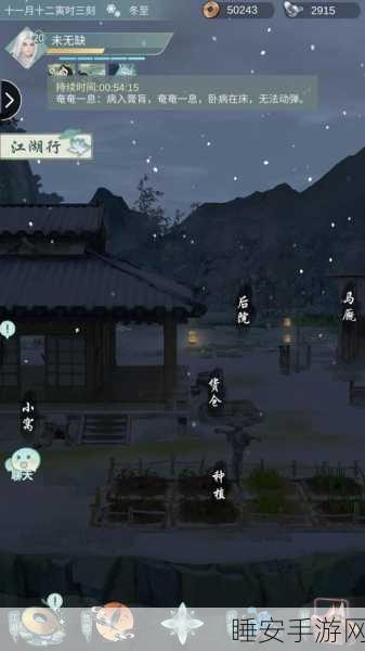 江湖悠悠,揭秘宁心丸神秘配方,助你内功大成!