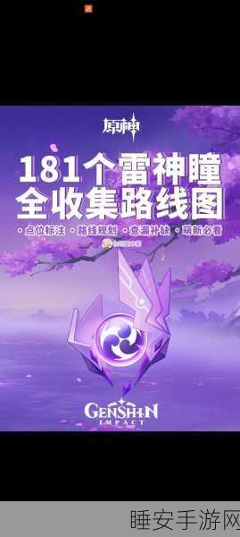 探秘原神,雷神瞳阴间位置全攻略,揭秘瞳瞳星辉的隐秘宝藏