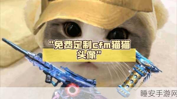 CF手游,百变山庄猫猫玩法深度剖析,制胜秘籍大公开