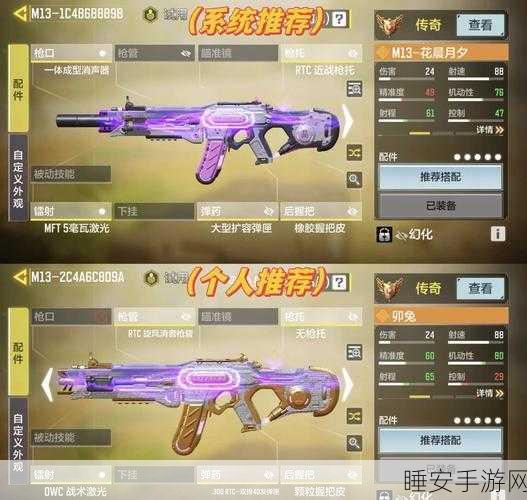 使命召唤M13黑翼金雀终极获取秘籍,解锁途径与条件全揭秘