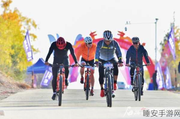 山地自行车挑战赛,极速飞驰,征服崎岖赛道新体验
