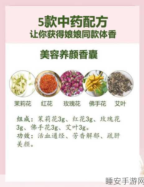 梦幻新诛仙,香囊获取全攻略,揭秘高效途径与实战技巧
