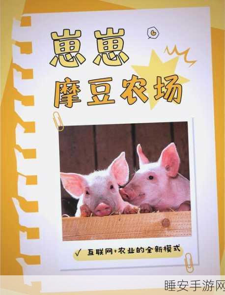 摩尔庄园猪猪馆养猪数量之谜,揭秘0头猪的奇妙现象