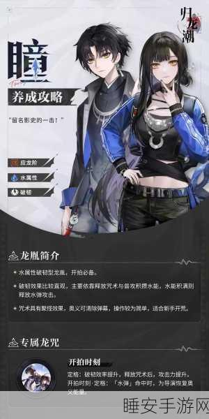 归龙潮斋西角色大揭秘,双重身份下的技能盛宴与竞技对决