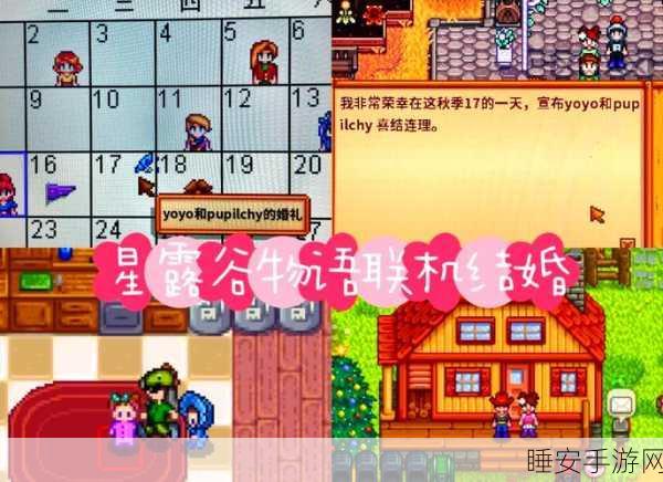 星露谷物语,解锁完美婚姻,寻觅最佳伴侣全攻略