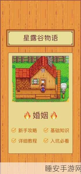 星露谷物语,解锁完美婚姻,寻觅最佳伴侣全攻略