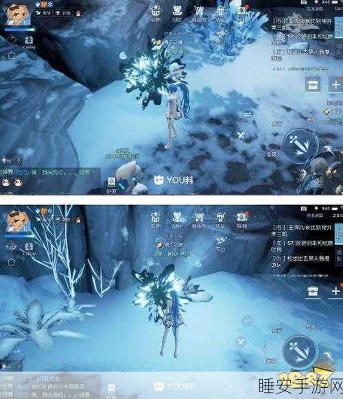 深度解析,龙族幻想尼伯龙根玩法全攻略,解锁神秘副本的秘诀