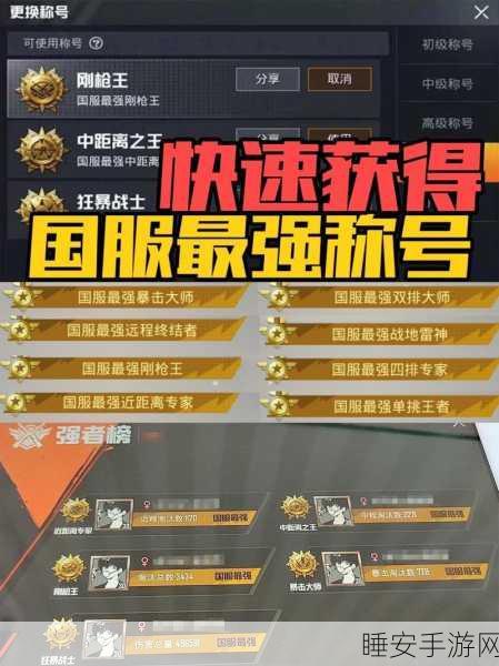 和平精英团竞巅峰揭秘,100级大神荣耀征途与战术精髓