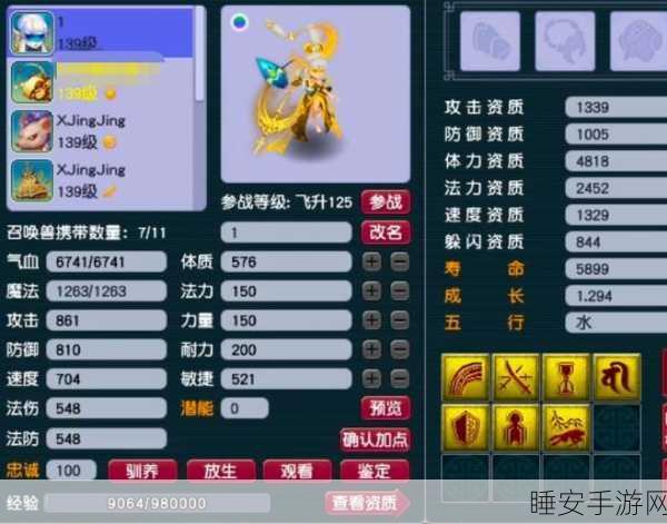 梦幻西游月魅携带等级揭秘,解锁神秘宠物的终极指南