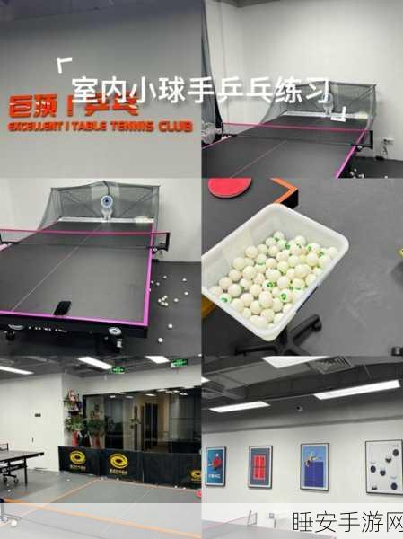独家揭秘,球球大作战中乒乓球台获取攻略及比赛细节