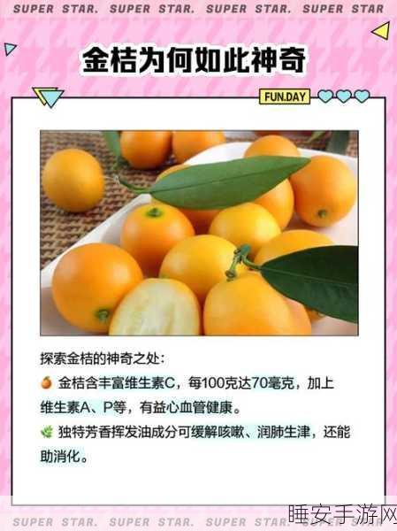 小森生活金桔获取攻略及作用全解析,助你打造梦幻田园!