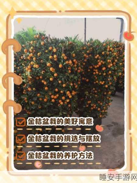 小森生活金桔获取攻略及作用全解析,助你打造梦幻田园!