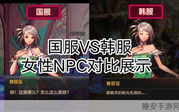 DNF深度对比,雷光上衣VS猎食上衣,属性差异与实战应用全揭秘