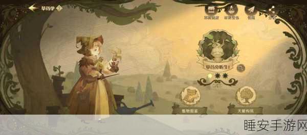 哈利波特魔法觉醒,揭秘增强剂的神奇功效与实战应用